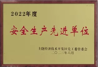 2022年度安全生产先进单位